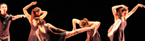 para la salsa creative danse